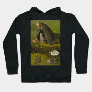 The Temptation of Saint Anthony detail - Hieronymus Bosch Hoodie